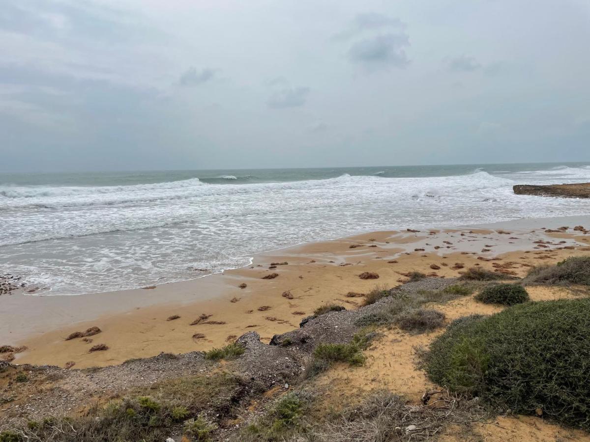 לה מאטה Seaside Home Torrevieja - Lamata מראה חיצוני תמונה